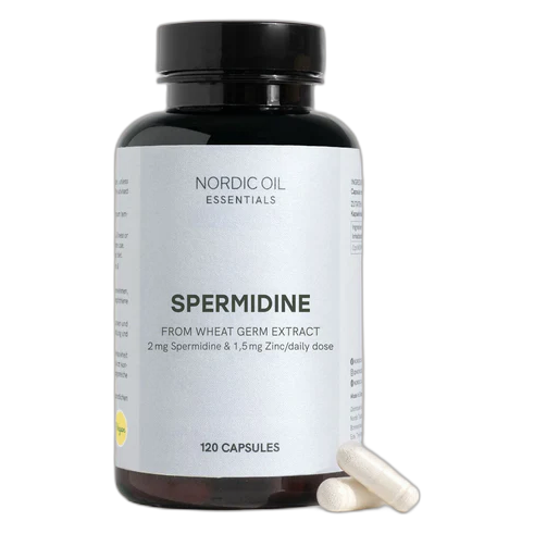 Nordic Oil Spermidin Kapseln – Testsieger